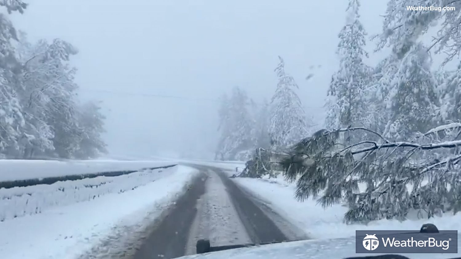 Whiting Maine 10 Day Weather Forecasts Weekend Weather Weatherbug